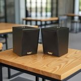 Loa vệ tinh treo tường C25 màu đen (số lượng 01 loa), công suất 23w, loa bass 4 inch, treble 5 cm, kích thước rộng 17 cm, cao 24 cm, sâu 22.5 cm, bảo hành dài hạn 5 năm.