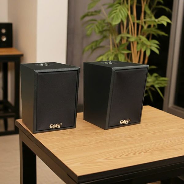 Loa thông báo, loa phát nhạc nền tự động A907PU-2K Goldsound 2 vùng âm lượng 900w + 4 loa Goldsound C25 màu đen, loa được thiết kế riêng cho quán, bật lớn không tạp âm, miễn phí công lắp đặt, bảo hành dài hạn 5 năm.