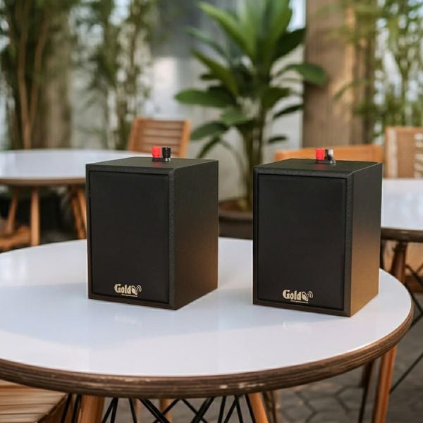 Loa hộp treo tường C24 (số lượng 01 loa), công suất 22w, loa bass 4 inch, kích thước rộng 16 cm, cao 22.5 cm, sâu 16.5 cm, bảo hành dài hạn 5 năm.