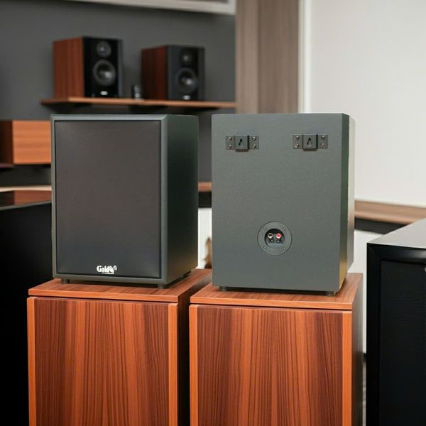 Loa treo tường C120 (số lượng 1 loa), công suất 120w, loa bass 20 cm, treble 10 cm, kích thước rộng 28 cm, cao 39.5 cm, sâu 27 cm, bảo hành dài hạn 5 năm.