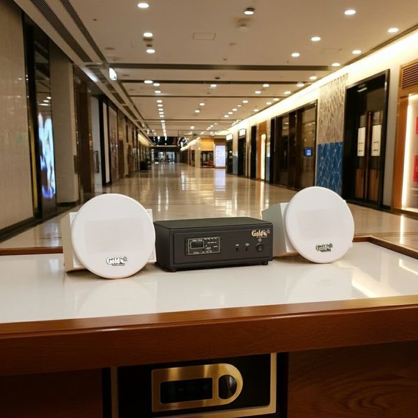 Loa âm trần không dây: 01 amply A50 Goldsound + 2 loa âm trần không dây VAT37 UHF Goldsound, loa được thiết kế riêng cho quán, bật lớn không tạp âm, bảo hành dài hạn 5 năm.