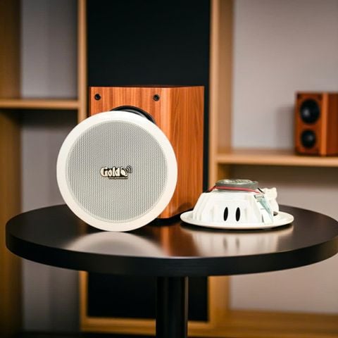 Loa âm trần VAT17 (bass 6 inch, công suất 17w) (số lượng 01 loa) chuyên cho spa, văn phòng, quán cafe, nhà hàng, chung cư, siêu thị, khách sạn......