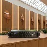 Dàn loa âm trần thông báo, phát nhạc nền tự động: A280F Goldsound 280w + 10 loa âm trần VAT9, loa được thiết kế riêng cho quán, bật lớn không tạp âm, miễn phí công lắp đặt