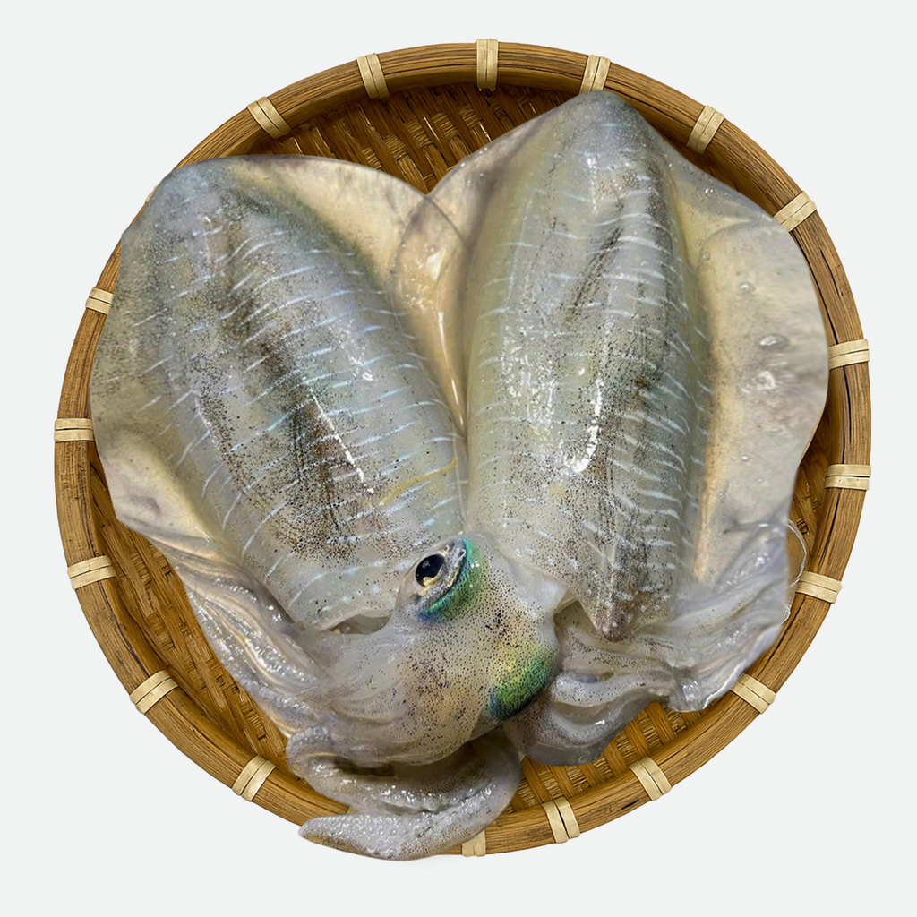 Mực Lá Size Lớn