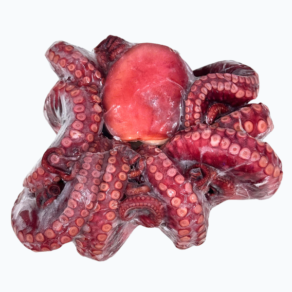 bach tuoc chin nguyen con