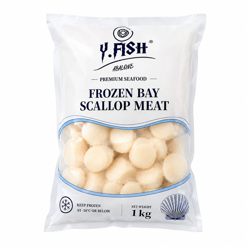 Cồi Sò Điệp Yfish Size M
