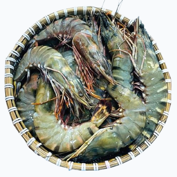 tom su bien size 8 10 con