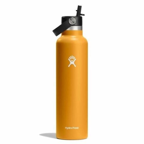 Bình nước giữ lạnh Hydro Flask Standard Flex Straw Cap 21 OZ 621 ml Fossil S21FS162