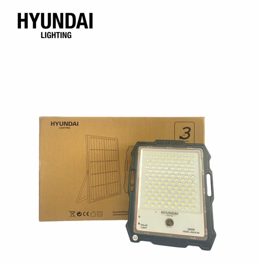 Đèn pha giám sát NLMT HSSFL-300/6.5K (HYUNDAI) - hình ảnh sản phẩm thực tế 2
