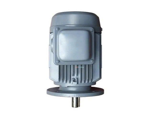 Động cơ (Motor) 3 pha 380V/50Hz, chân đế Hitachi (15HP-TFO-K(DK)-4P-IP55-F.INS) - hình ảnh sản phẩm thực tế 1