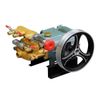 Ảnh thu nhỏ Đầu Phun Xịt Áp Lực Tự Động Con Ong Vàng COV22AR 1HP 1
