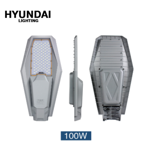 Đèn đường NLMT HLLVC-100/6.5K (100W)(HYUNDAI) - hình ảnh sản phẩm thực tế 1