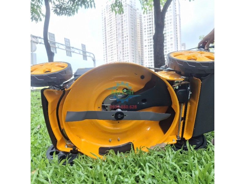 Máy Cắt Cỏ Đẩy Tay Dùng Xăng Ingco GLM196202 196cc 4.8HP - hình ảnh sản phẩm thực tế 5