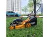 Ảnh thu nhỏ Máy Cắt Cỏ Đẩy Tay Dùng Xăng Ingco GLM196202 196cc 4.8HP 2