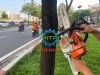 Ảnh thu nhỏ Máy cưa xích STIHL MS260 đồng bộ lam và xích 16in (.325") (Brazil) 4