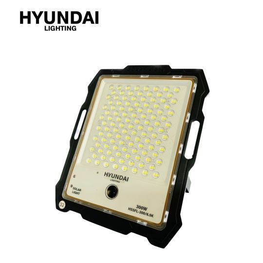 Đèn pha giám sát NLMT HSSFL-300/6.5K (HYUNDAI) - hình ảnh sản phẩm thực tế 1