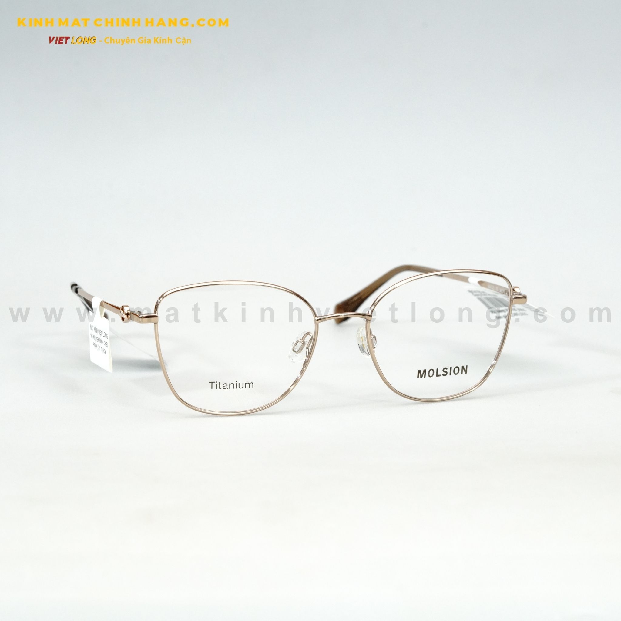  GỌNG KÍNH MOLSION MA7020-B30 54-18 