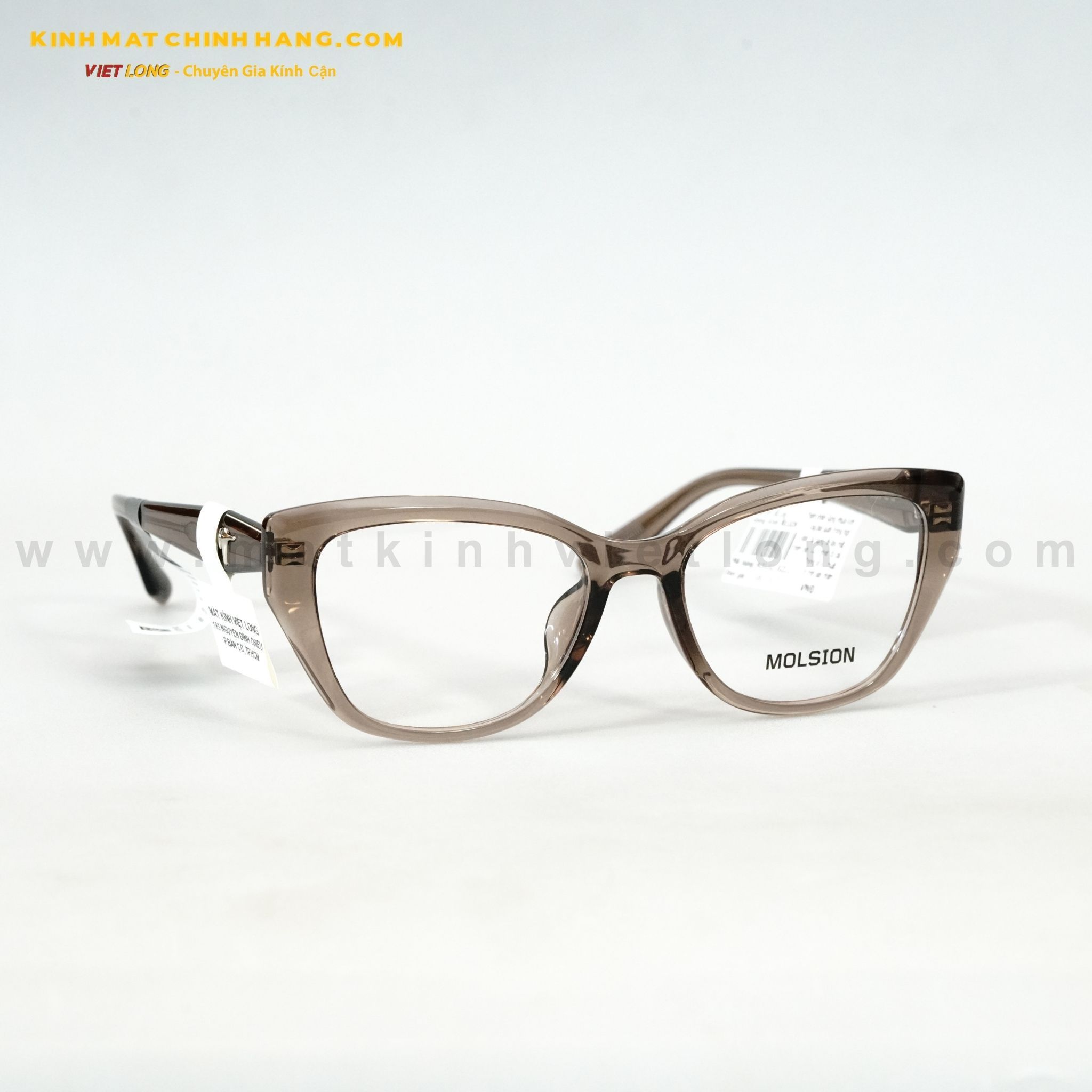  GỌNG KÍNH MOLSION MJ5125-B21 53-18 