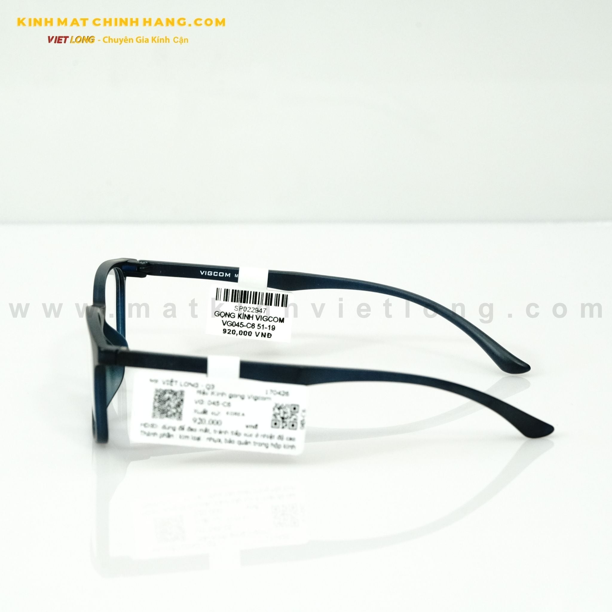  GỌNG KÍNH VIGCOM VG045-C6 51-19 