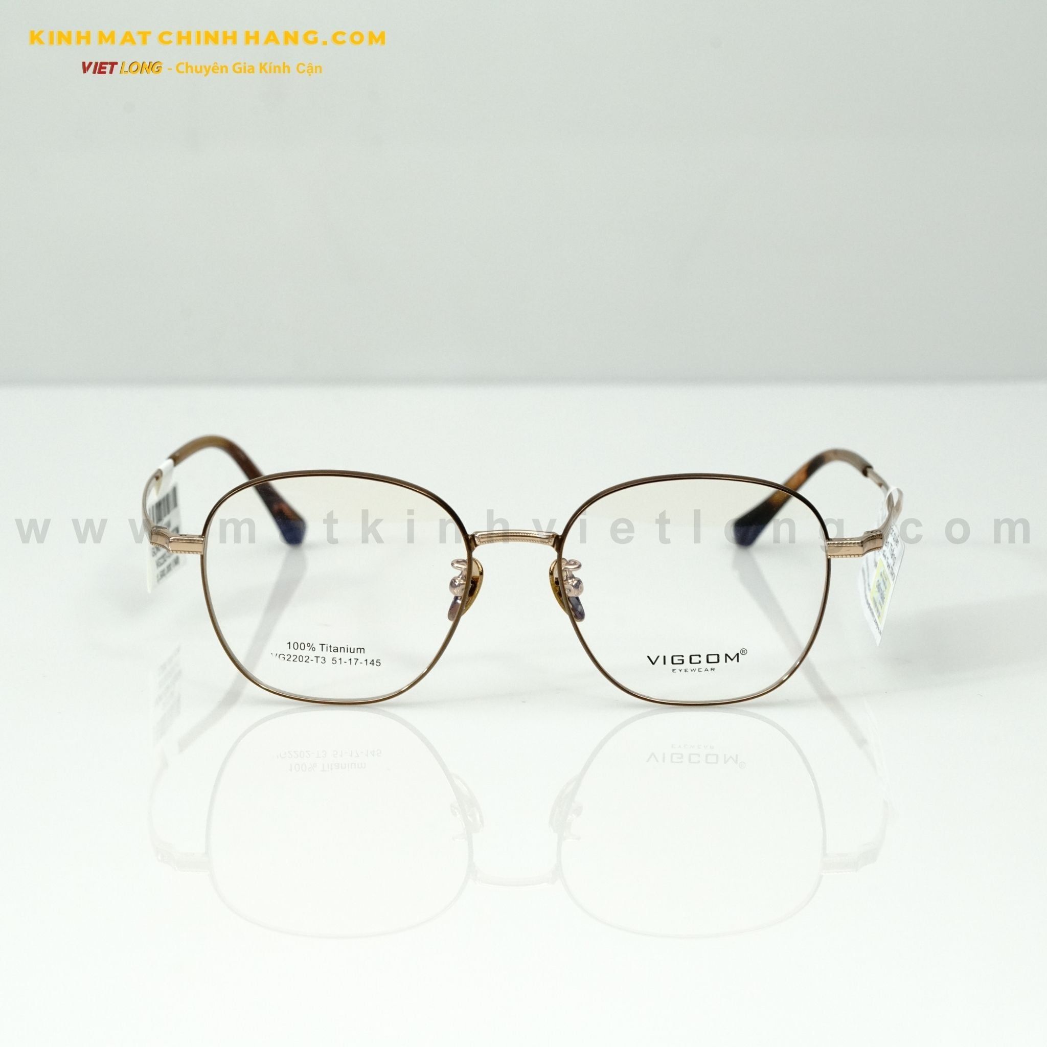  GỌNG KÍNH VIGCOM VG2202-T3 51-17 