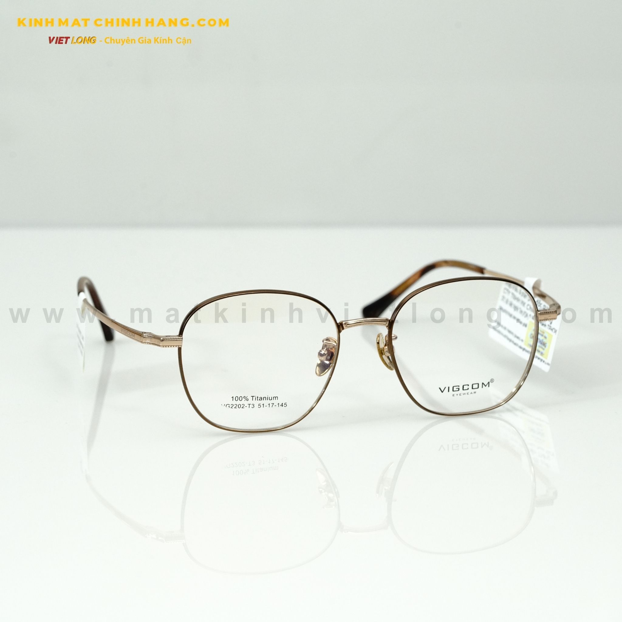  GỌNG KÍNH VIGCOM VG2202-T3 51-17 