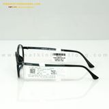  GỌNG KÍNH VIGCOM VG006-P2 48-17 