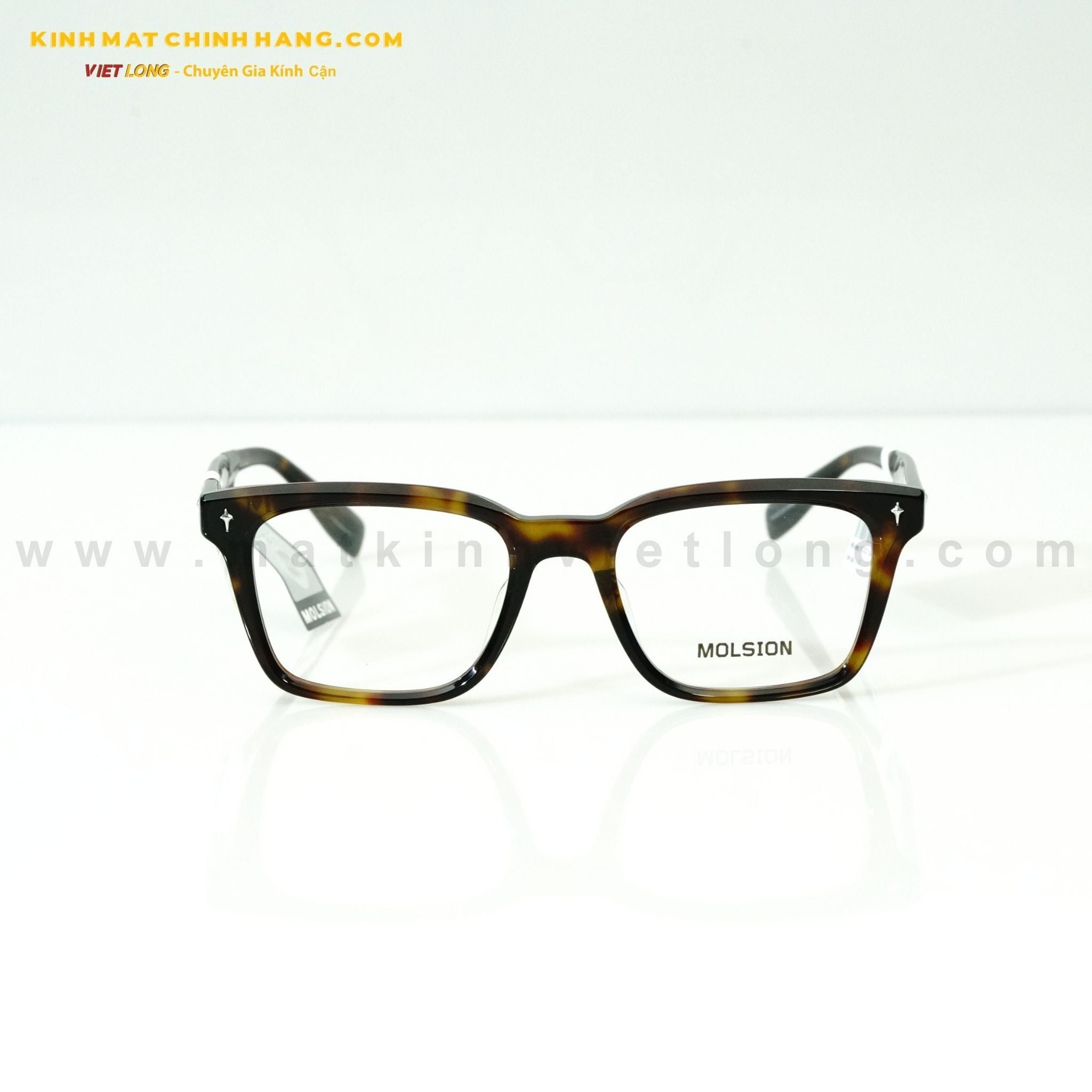  GỌNG KÍNH MOLSION MJ3119-B20 53-20 