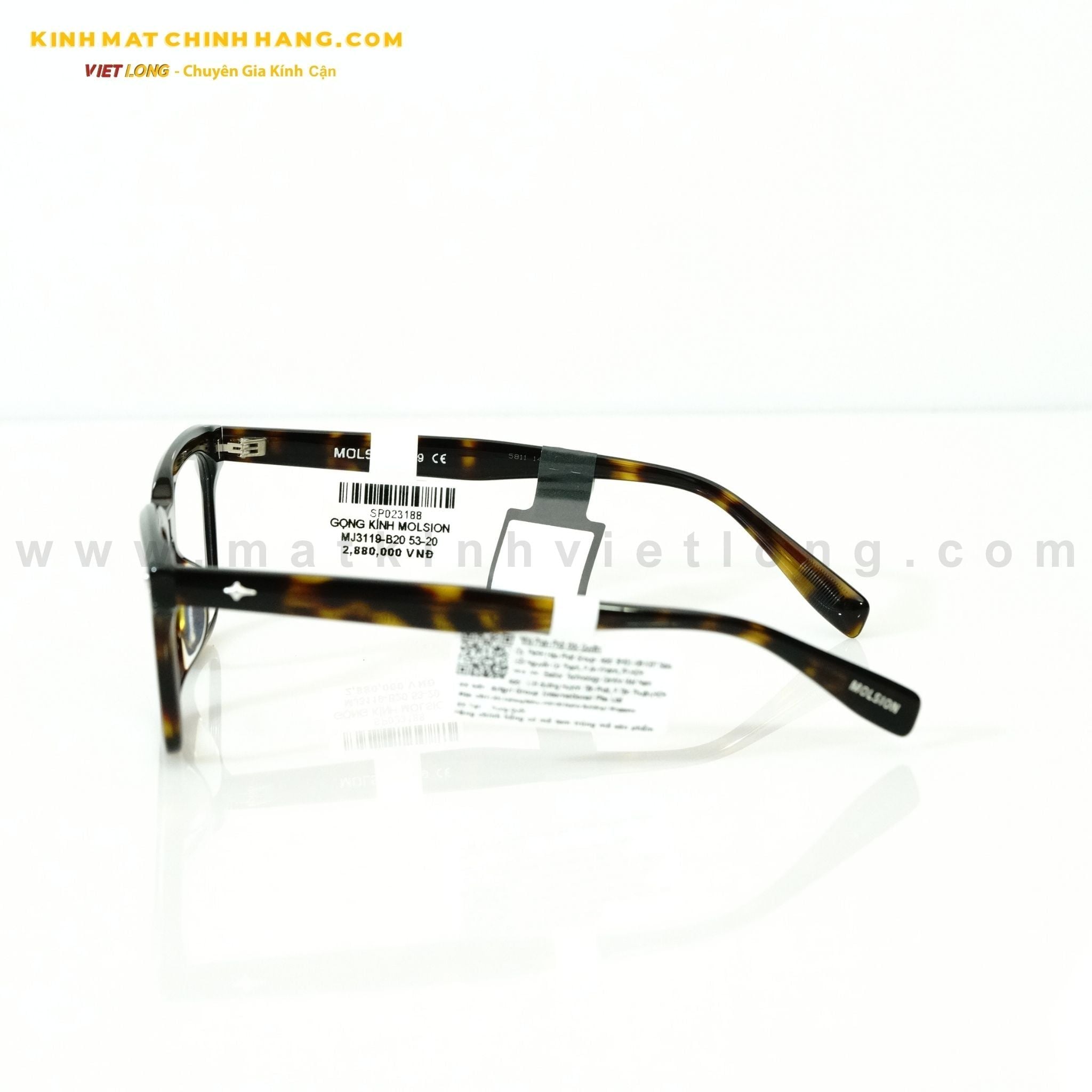  GỌNG KÍNH MOLSION MJ3119-B20 53-20 