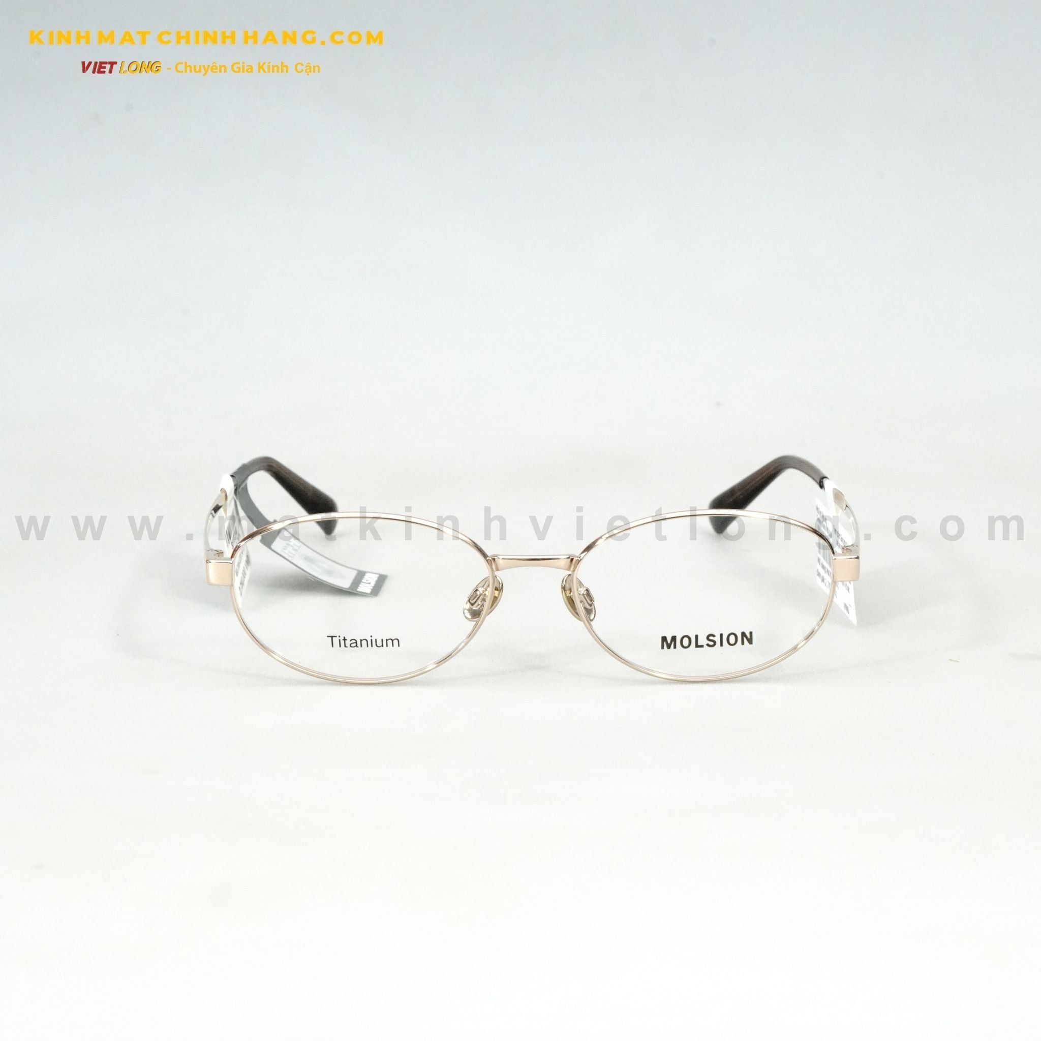  GỌNG KÍNH MOLSION MA7006-B30 54-17 