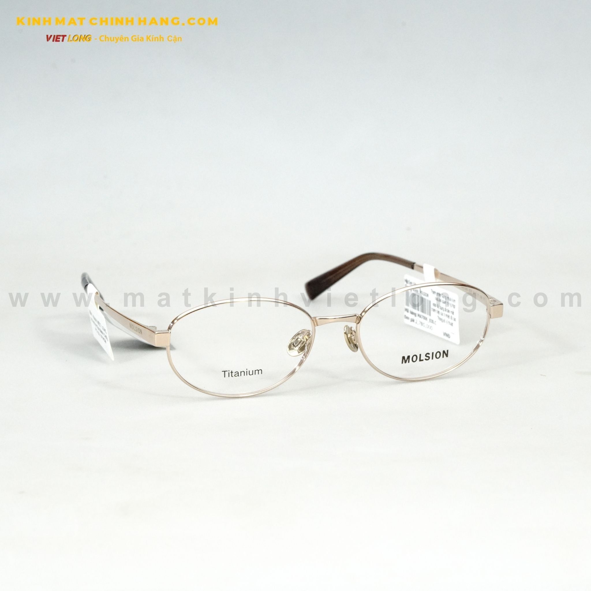  GỌNG KÍNH MOLSION MA7006-B30 54-17 