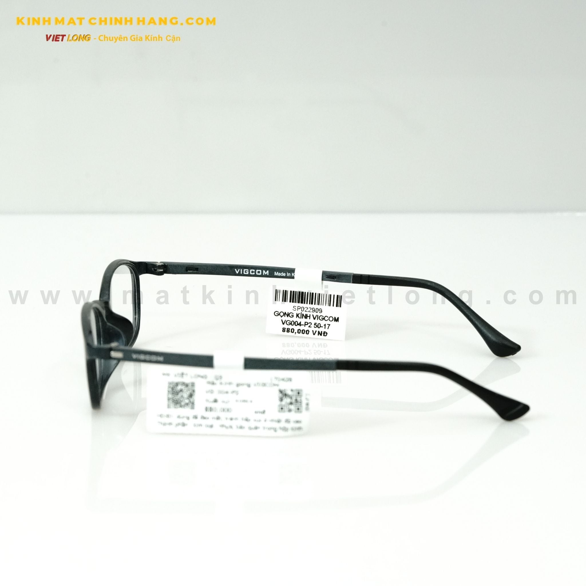  GỌNG KÍNH VIGCOM VG004-P2 50-17 