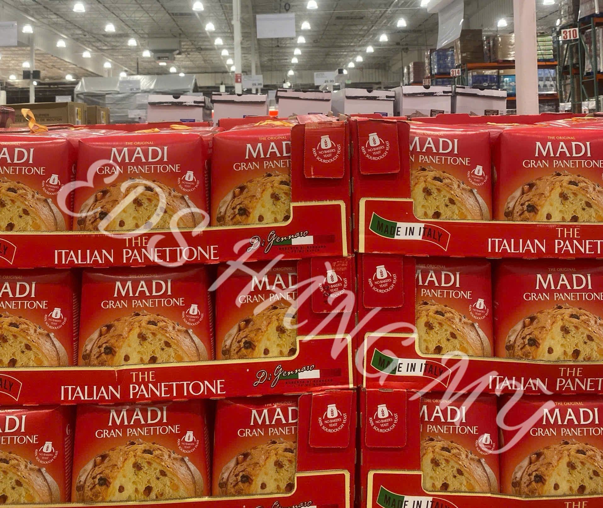 Bánh Madi Gran Panettone 1kg truyền thống của Ý
