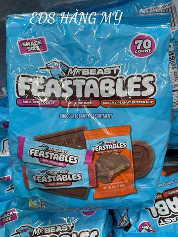  Chocolate Frestables Mr Beast 