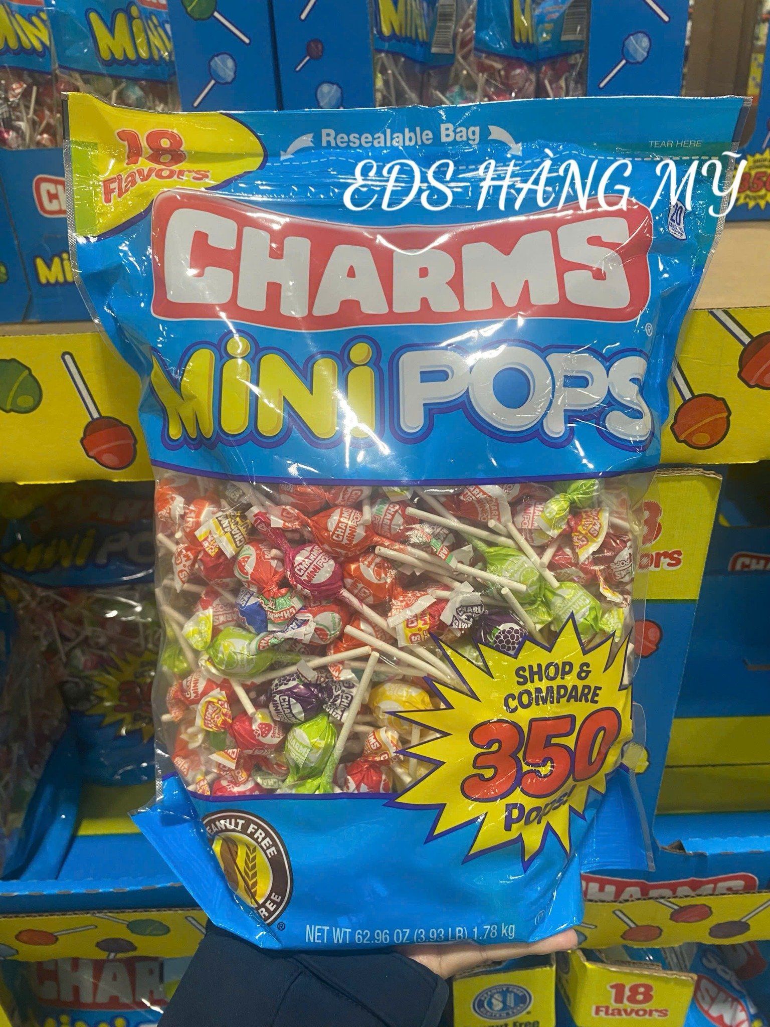 Kẹo mút hương trái cây Charms Mini Pops của Mỹ