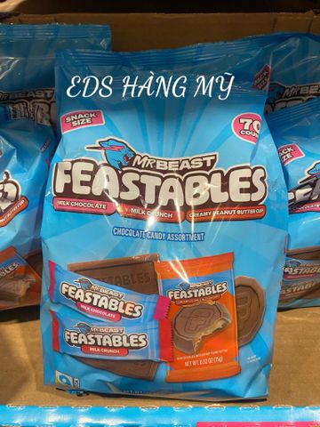 Chocolate Frestables Mr Beast 