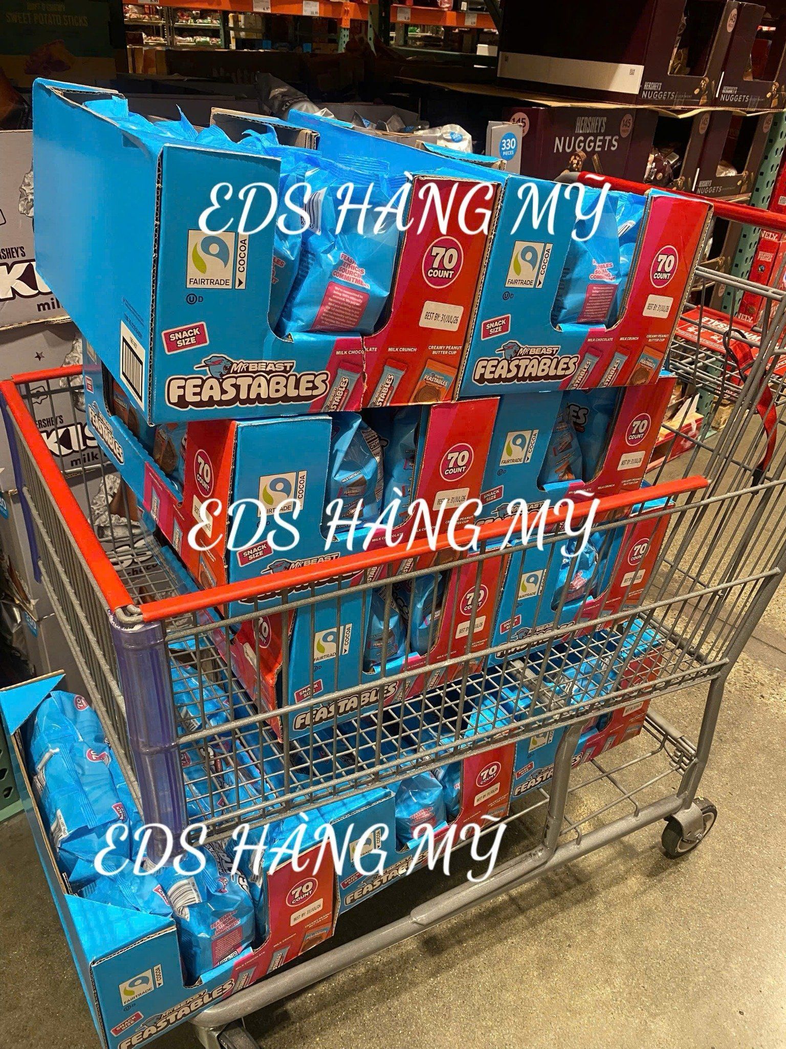 Chocolate Frestables Mr Beast