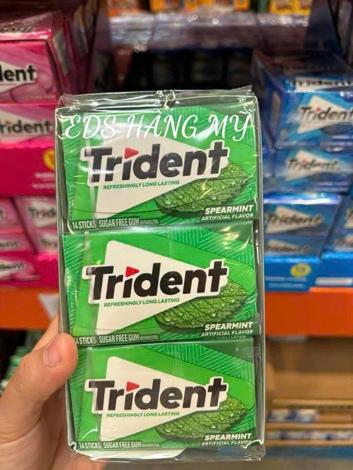 Kẹo cao su singum không đường Trident nội địa Mỹ