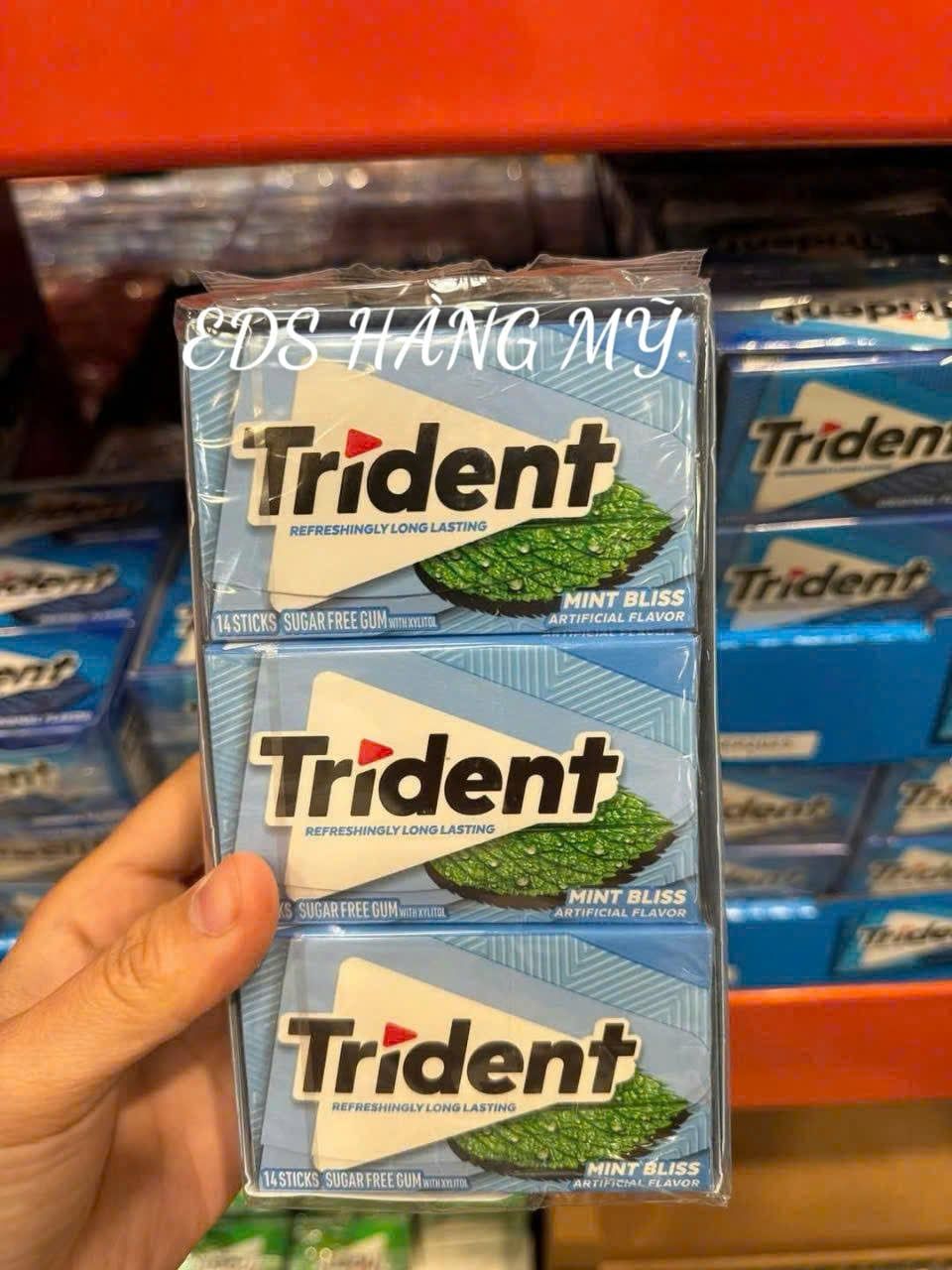 Kẹo cao su singum không đường Trident nội địa Mỹ