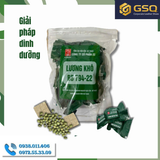 Lương Khô BB 794 - Công Ty CP 22 _ Giải Pháp Dinh Dưỡng Gọn Nhẹ