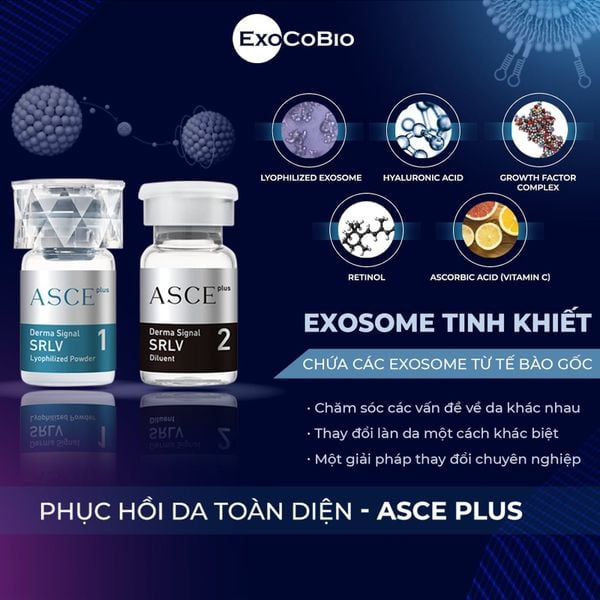 Bộ phục hồi da, căng bóng da ExoCoBio Asce+ SRLV Derma Signal