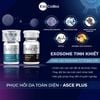 Bộ phục hồi da, căng bóng da ExoCoBio Asce+ SRLV Derma Signal