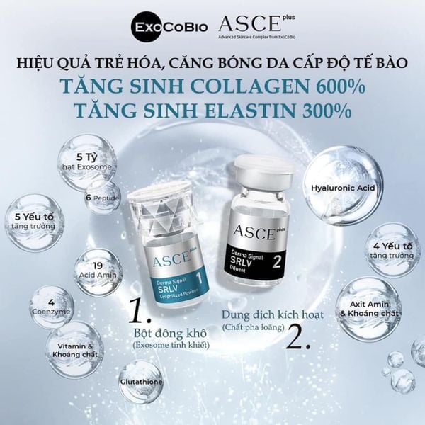 Bộ phục hồi da, căng bóng da ExoCoBio Asce+ SRLV Derma Signal