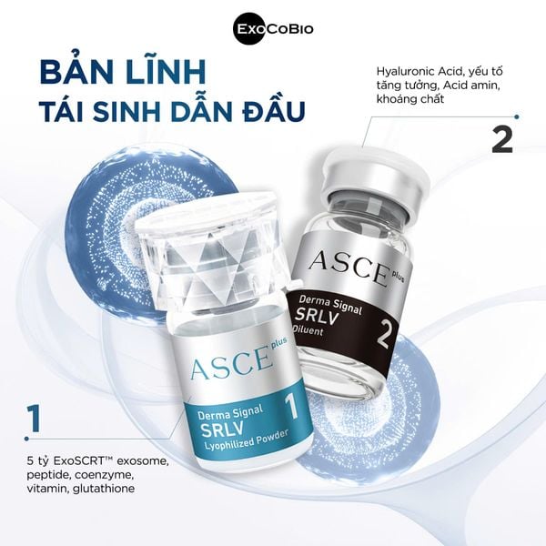 Bộ phục hồi da, căng bóng da ExoCoBio Asce+ SRLV Derma Signal