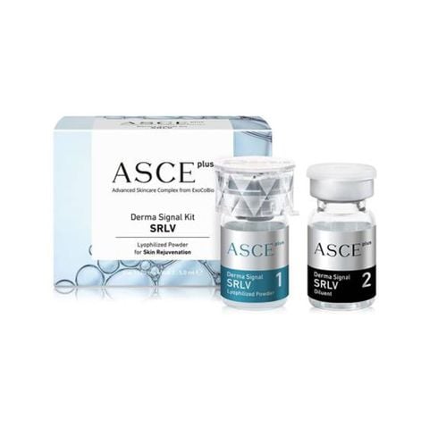 Bộ phục hồi da, căng bóng da ExoCoBio Asce+ SRLV Derma Signal