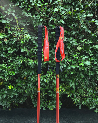  Gậy leo núi chạy trail Zenone Z1901VN Special Edition - Hợp Kim Nhôm 