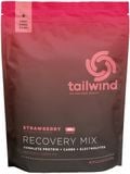  Bột hồi phục cơ Tailwind Recovery Rebuild gói lớn 20 serving 
