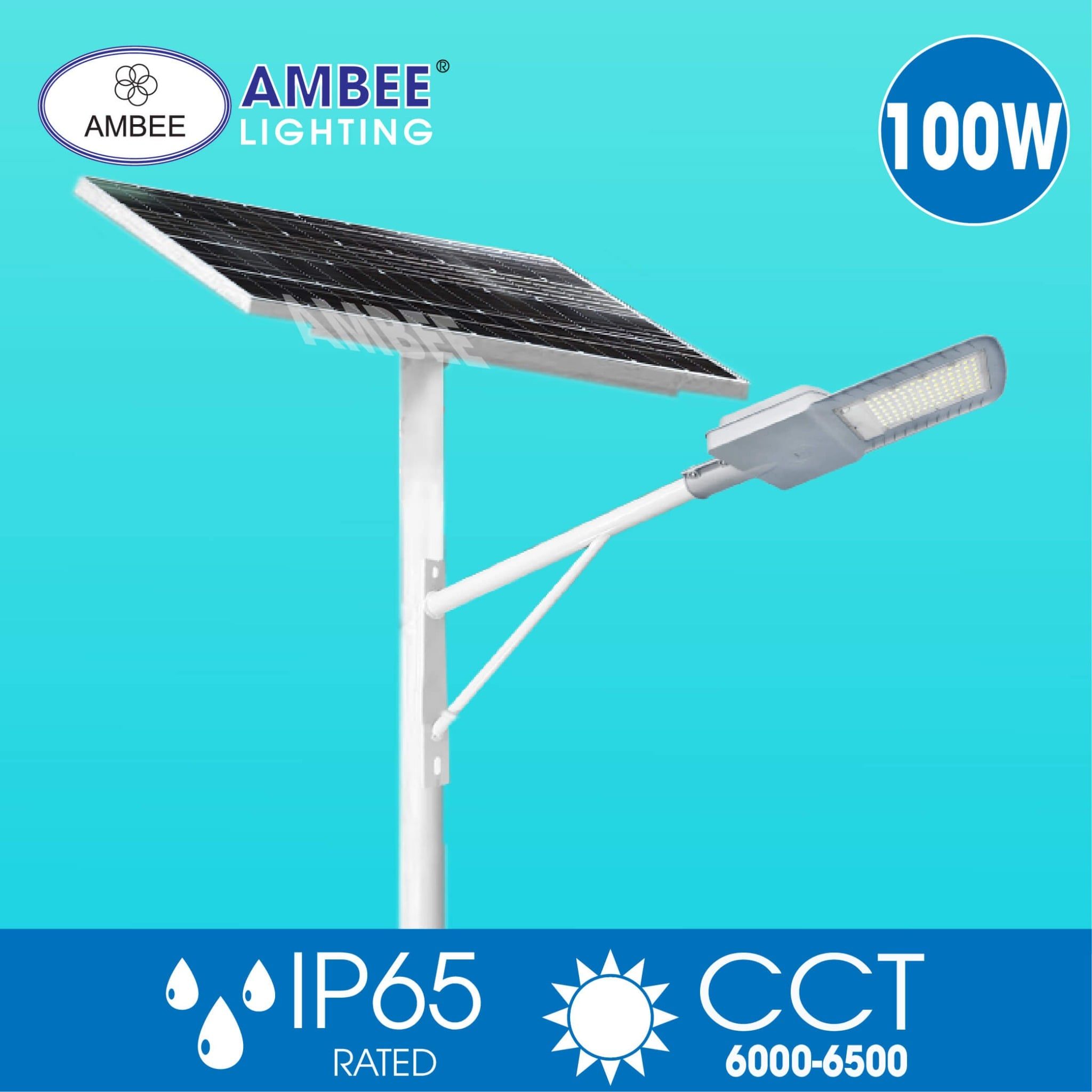 Đèn Đường Năng Lượng Mặt Trời 100w (Loại Rời)