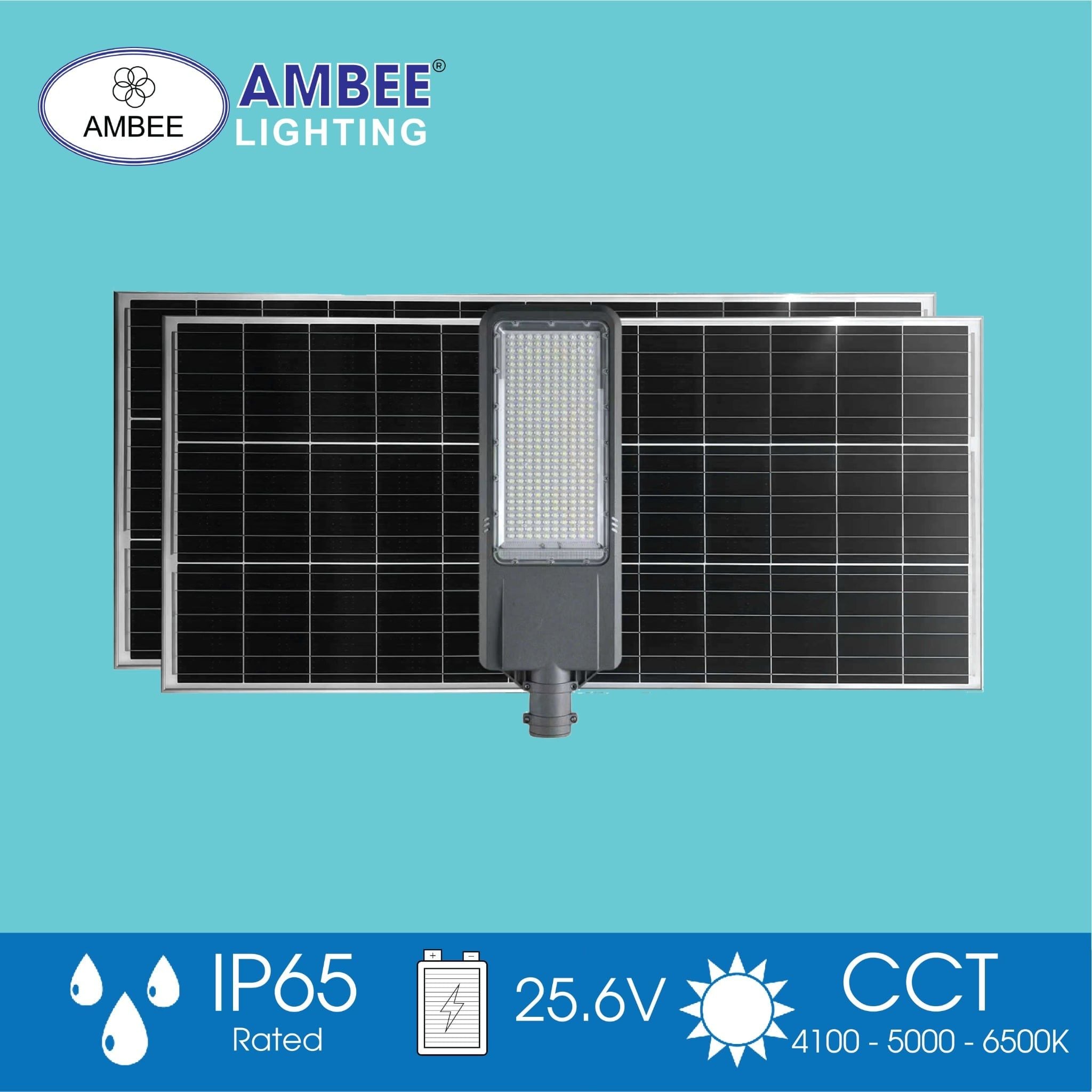 Đèn Đường Năng Lượng Mặt Trời SL31 150w (Loại Rời)