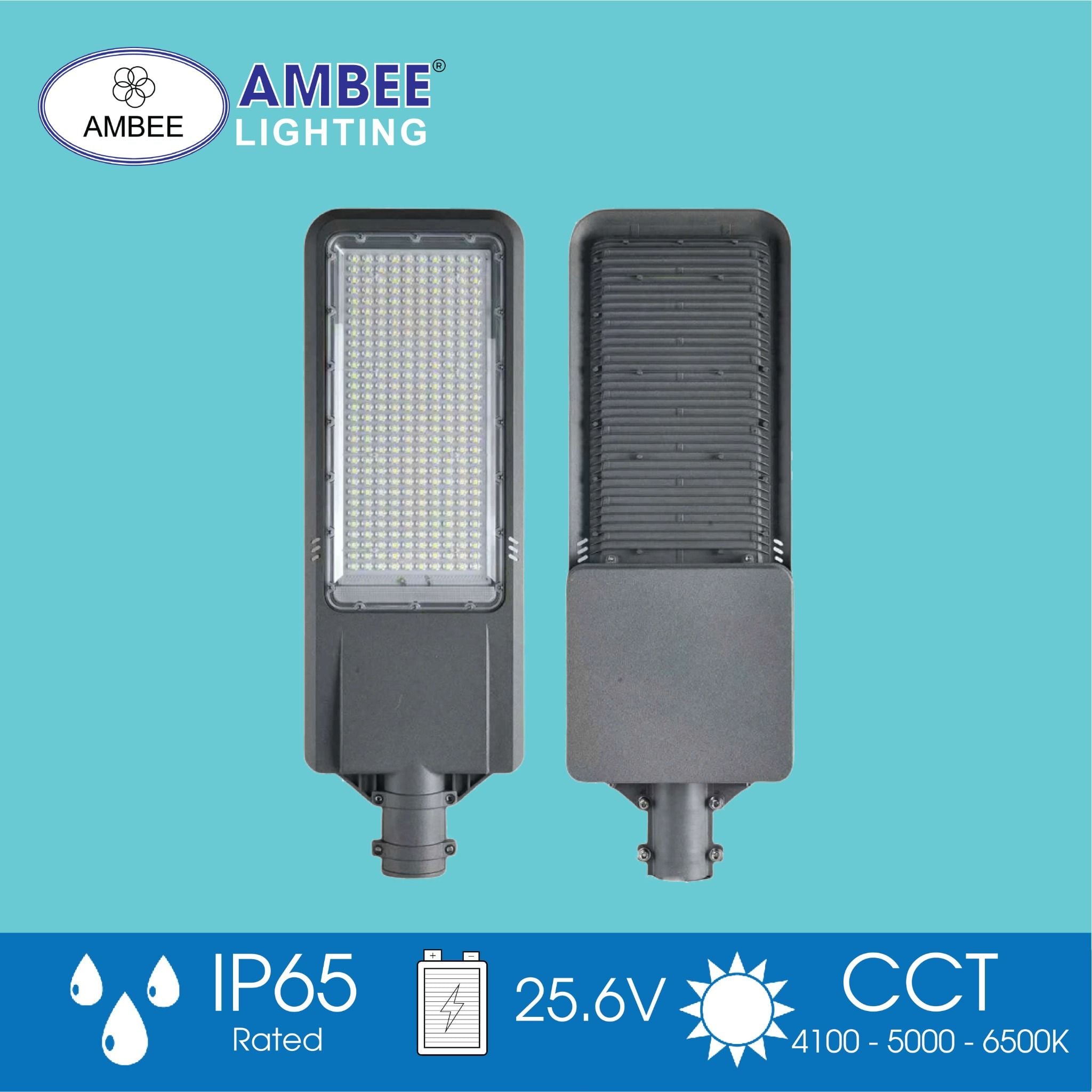 Đèn Đường Năng Lượng Mặt Trời SL31 150w (Loại Rời)