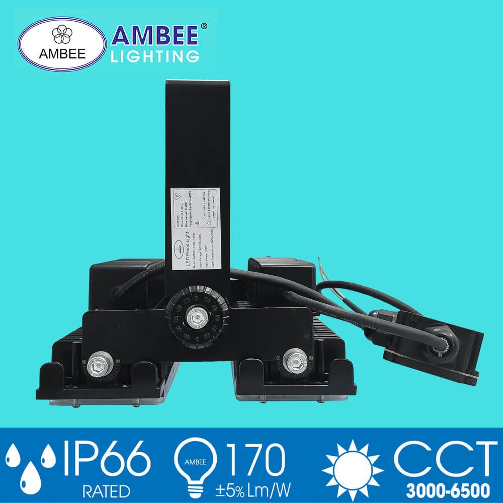 Led Floodlight TD05 100W